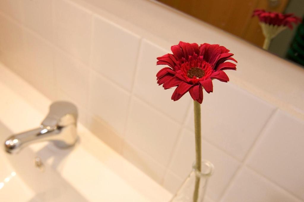 Gualba de Dalt Apartaments Rural Montseny מראה חיצוני תמונה