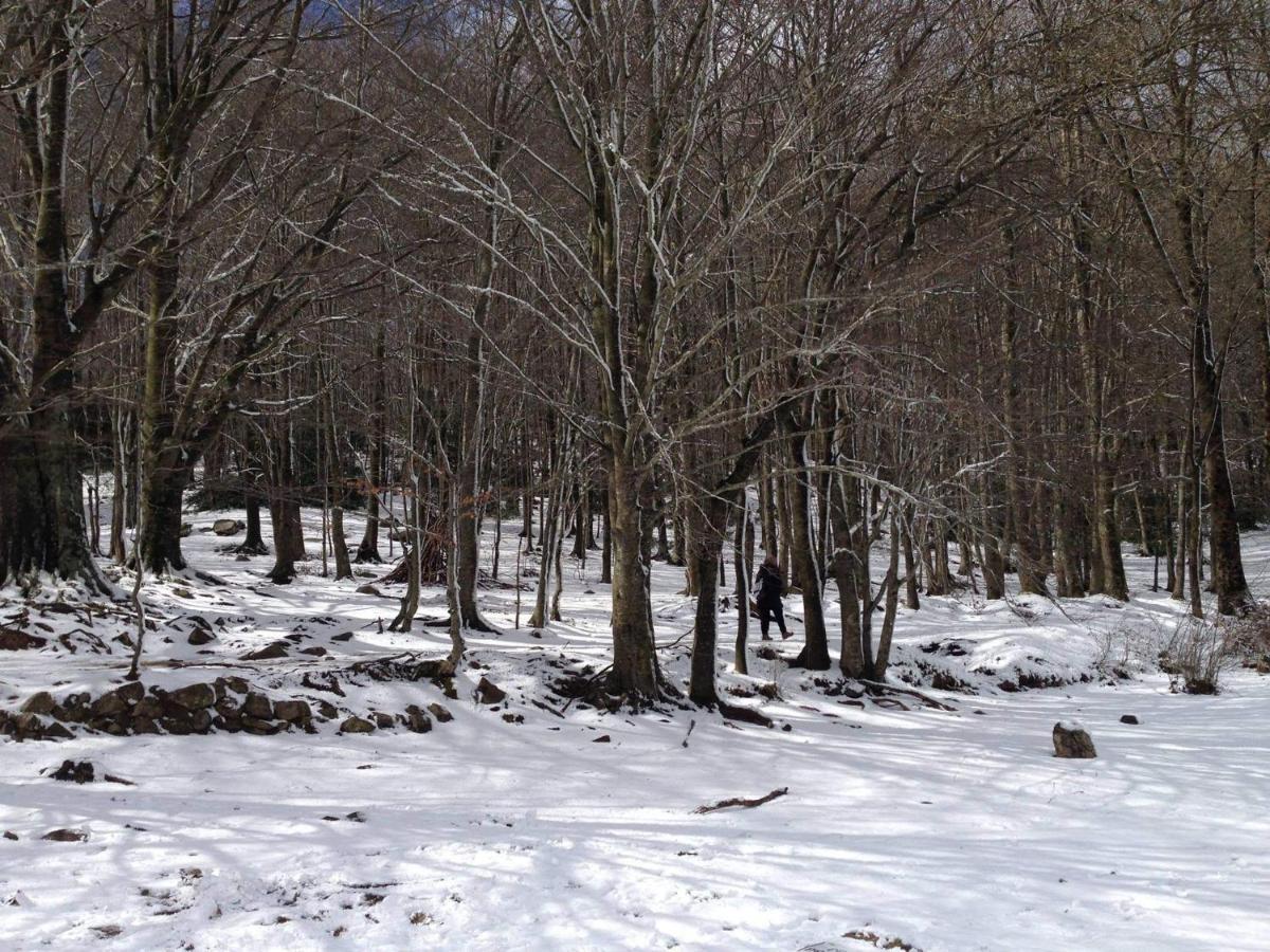 Gualba de Dalt Apartaments Rural Montseny מראה חיצוני תמונה