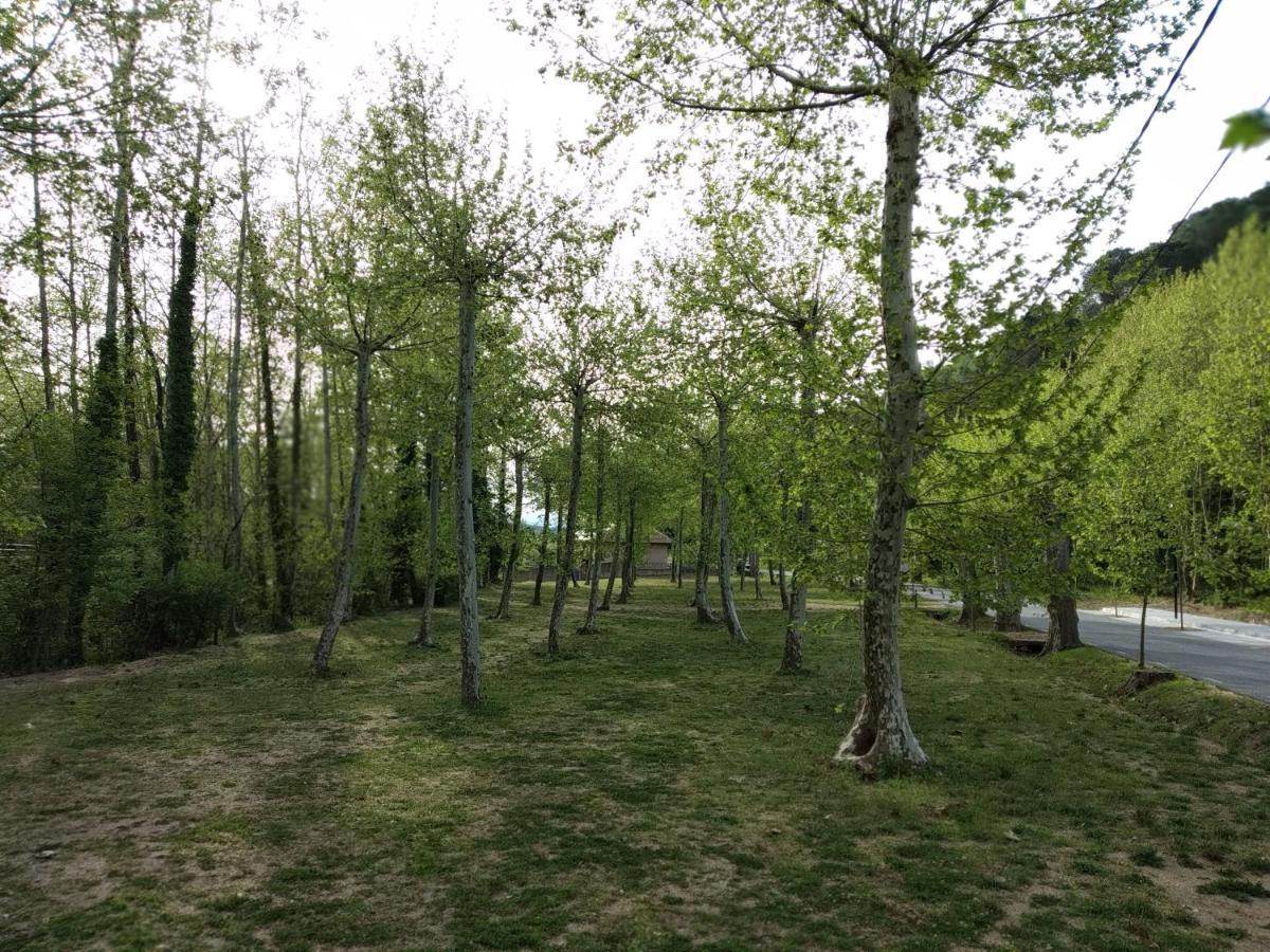 Gualba de Dalt Apartaments Rural Montseny מראה חיצוני תמונה